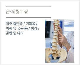 근체형 교정